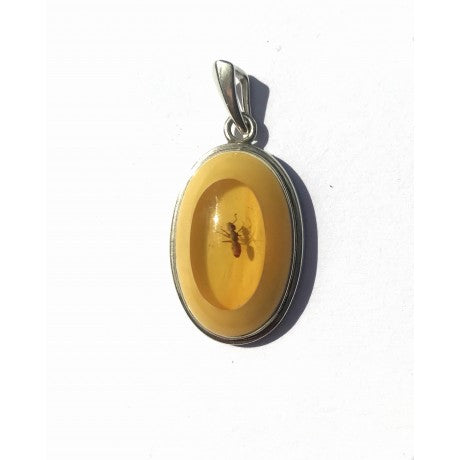 Baltic Amber & Sterling Silver Pendant