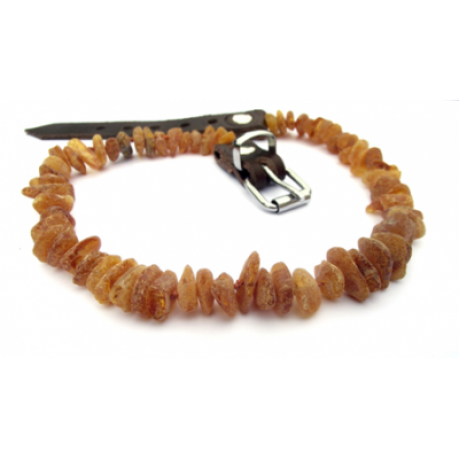 Baltic Amber Collar (APRLS)