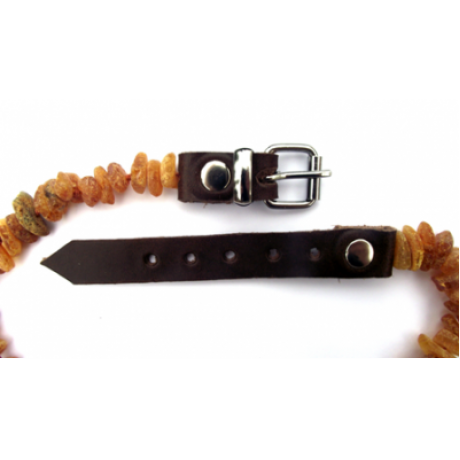 Baltic Amber Collar (APRLS)