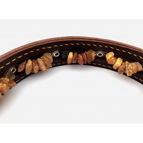 Baltic Amber Collar (APL)