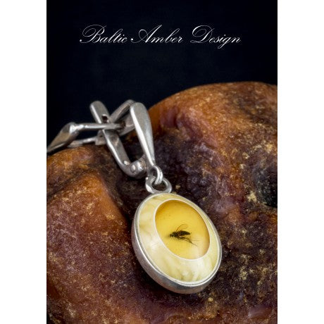 Baltic Amber & Sterling Silver Earrings (Earring Fly3)