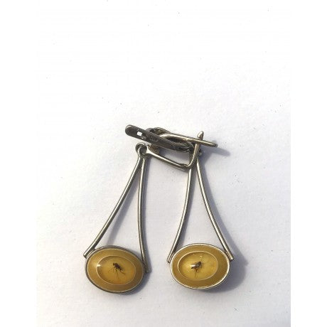 Baltic Amber & Sterling Silver Earrings (Earring Fly 2)